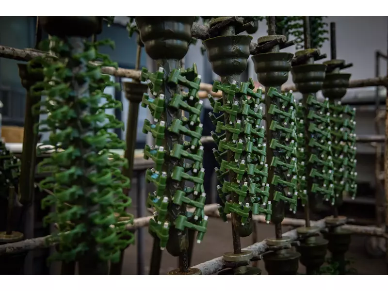 Assembled wax trees.webp